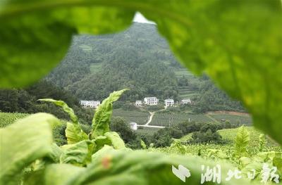 房县推进51个小流域综合治理