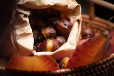 夏天夏天悄悄过去，留下小秘密