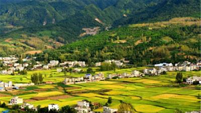 综合利用率达98%！房县农作物秸秆从无处安放变“香饽饽”