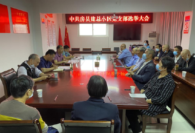 老城社区建总小区党支部选举圆满完成