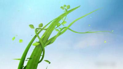 不开刀解救“腿梗”危机