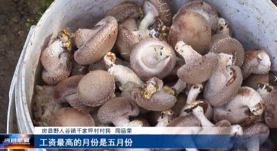 千家坪村： 延伸产业链条  促进村民增收