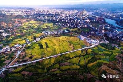 “苦口良药”成致富“蜜方” ——军店镇全力构建中药材全产业链体系