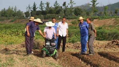房县农机服务中心机械推广服务羊肚菌产业发展