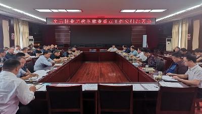 县林业局安排部署秋冬林业重点工作