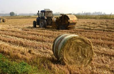 军店镇：用“妙招”做好秸秆焚烧综合治理工作