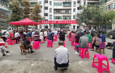 老城社区建总小区、劳动局小区业主委员会选举圆满完成