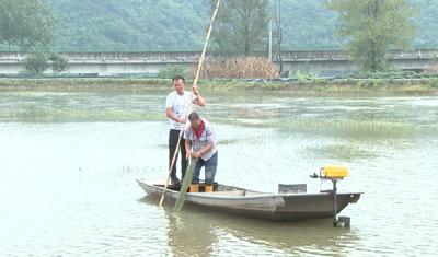 “蟹”逅大丰收 蟹农乐开花