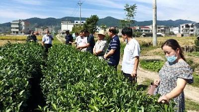 学习成功经验 谋划淮水产业发展
