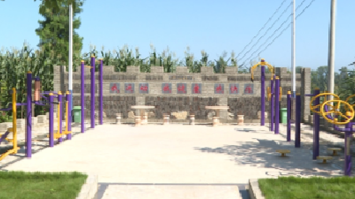 红塔镇沙坪村：稻黄花红美如画