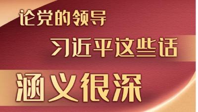 学习进行时丨论党的领导，习近平这些话涵义很深