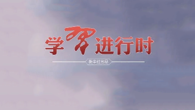 学习进行时｜习近平如何求才用才