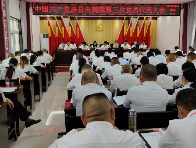 凝心聚力 奋发有为——白鹤镇第三次党员代表大会胜利召开
