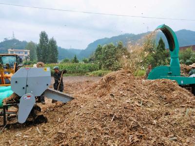 房县掀起玉米秸秆青贮利用热潮 