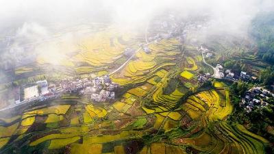 【党风宣教月】县纪委将于9月开展党风廉政宣教月等系列活动