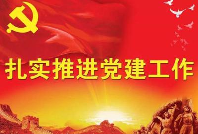 县退役军人事务局 积极发挥党建引领作用