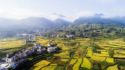 房县废弃河滩变身沃土良田