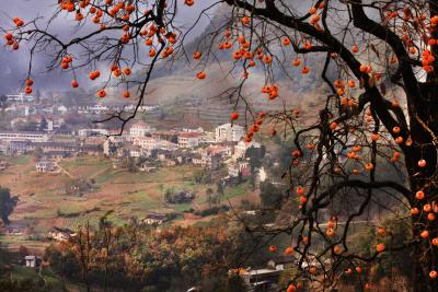 房县开展农机安全培训 确保三秋顺利开展