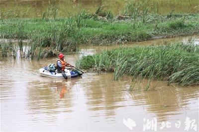 房县农民“河长”护河忙