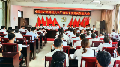 大木厂镇第十次党员代表大会顺利召开