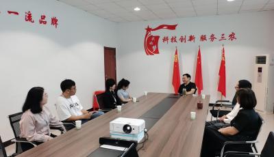 CCTV中视购物《大国匠心》栏目聚焦房县大木厂镇红薯产业