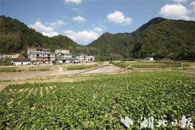房县五谷庙小流域治理：保护水土、助农增收