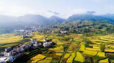 浓墨重彩绘新景移风易俗润民心 ——全国文明村房县城关镇三海村人情风整治走笔