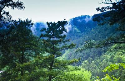 房县将县城当成景区建设