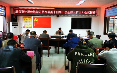 县审计局传达学习贯彻县委十四届十次全会精神