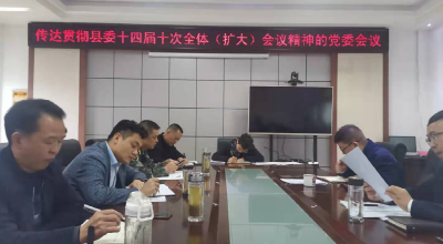 白鹤镇：深入学习县委十四届十次全体（扩大）会议精神