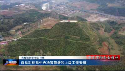 青峰镇：强工业 兴产业 活商旅 着力建设“卫星”乡镇