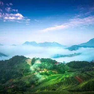 房县固定资产投资逐步回升