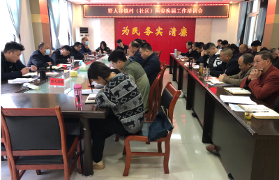 野人谷镇召开“村两委”换届工作培训会