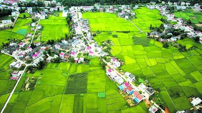 军店镇中村村：奏响乡村振兴百日攻坚集结号   