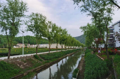 窑淮镇：以“三个三”同步工作法 促进镇容村貌换新颜