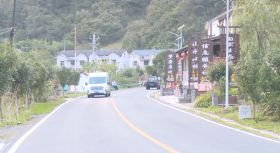 【走进乡村看振兴 】野人谷镇：农家乐敲开乡村振兴“致富门”