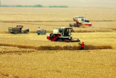 房县秋收秋播气象服务专报