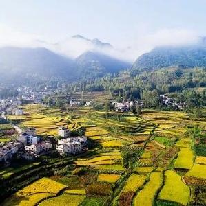 精准摸排，蓄势而发  ---城关镇人社中心开展劳动力调查工作