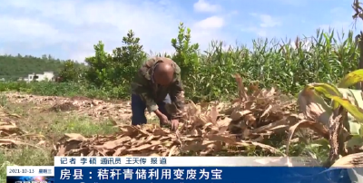 房县：秸秆青储利用变废为宝