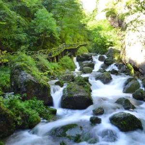 县农业农村局党组召开巡察整改专题民主生活会