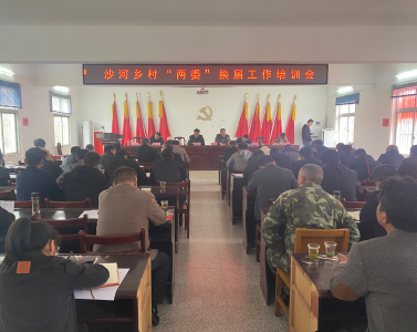 沙河乡召开村“两委”换届工作培训会