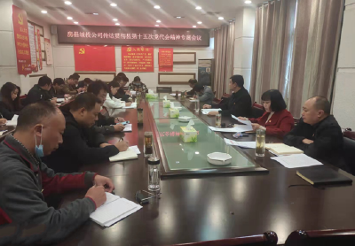 县城投公司学习贯彻县第十五次党代会精神