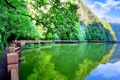 中国人民政治协商会议房县第十一届委员会第一次会议关于常务委员会工作报告的决议