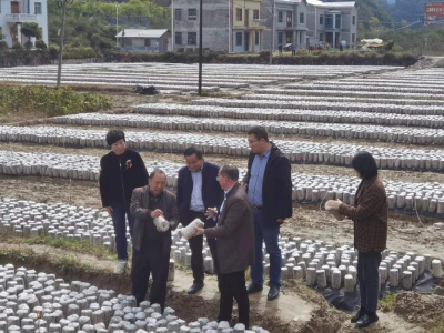 塘埂村“三个一” 助力乡村振兴取得实效