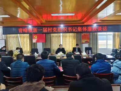 青峰镇纪委开展新任村书记廉政谈话