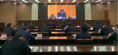 全市产业协作（汽车消费）示范项目专题推进会召开 谢晓鸣作交流发言