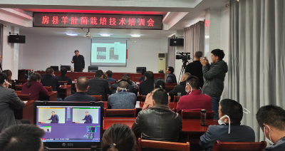 院士领衔·农医联手科技助力房县乡村产业振兴