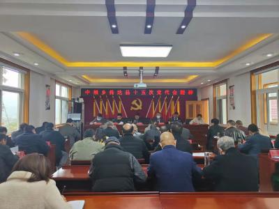 中坝乡学习贯彻落实县第十五次党代会精神