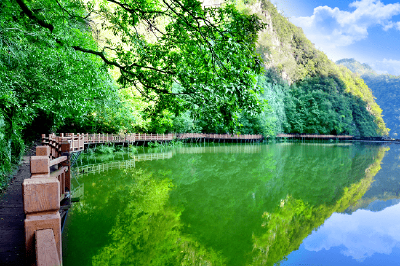 千里房陵：擦亮生态底色 书写绿美答卷 