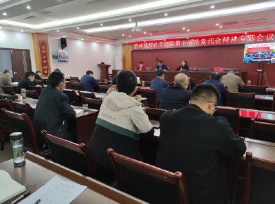青峰镇传达贯彻县第十五次党代会精神